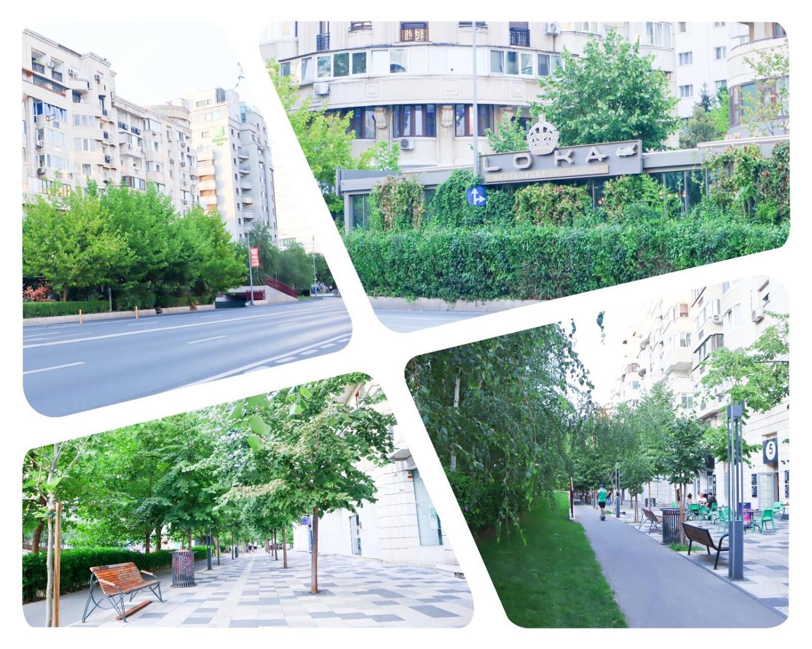 Central Apartament Bulevardul Decebal Bucharest Exterior photo